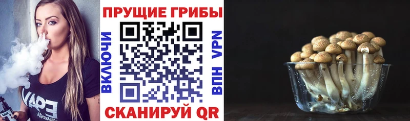 Галлюциногенные грибы MAGIC MUSHROOMS  Кизляр 
